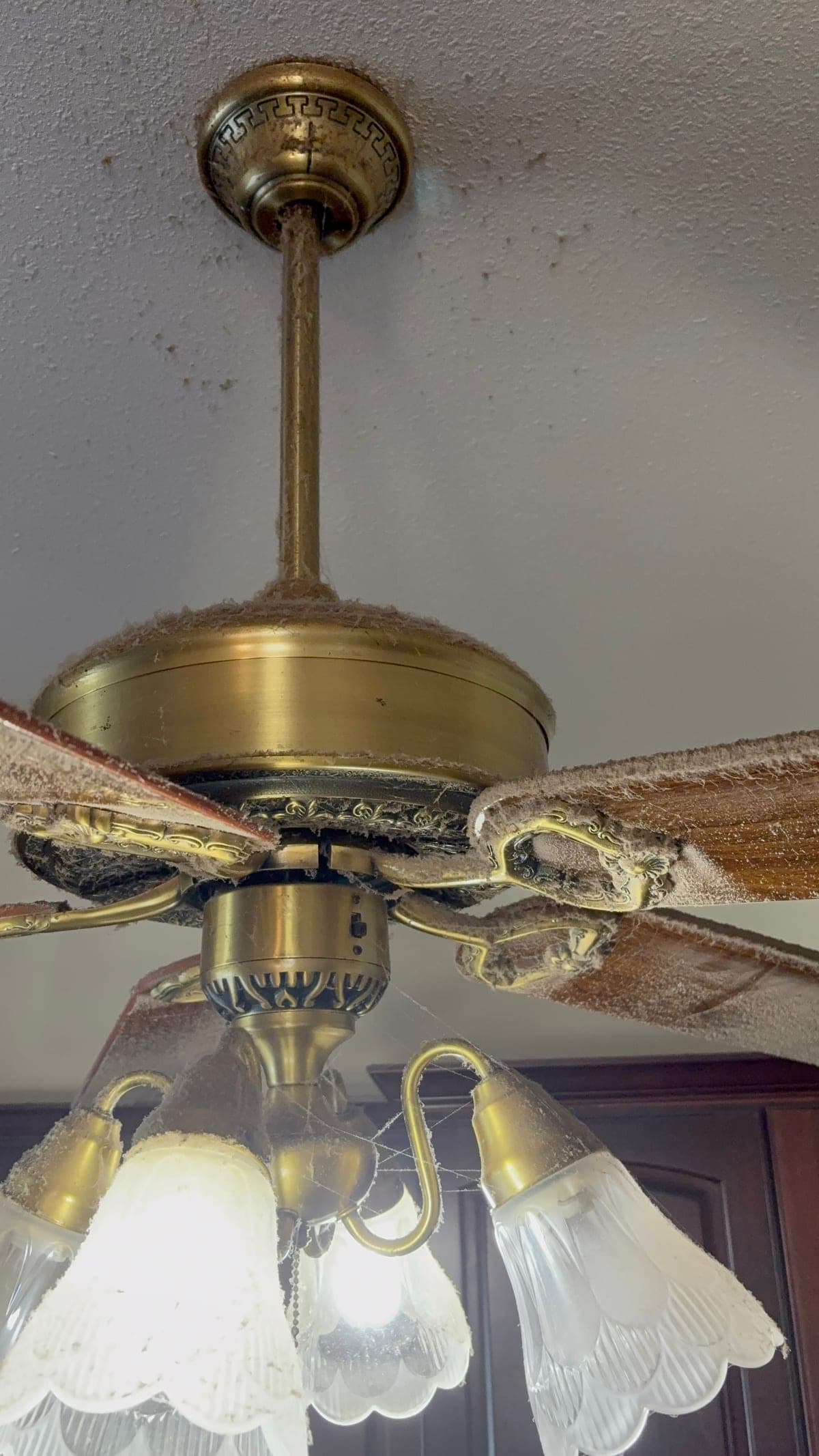 Ceiling fan blades before cleaning, coated in dust and cobwebs